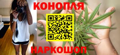 прущие крисы Моздок