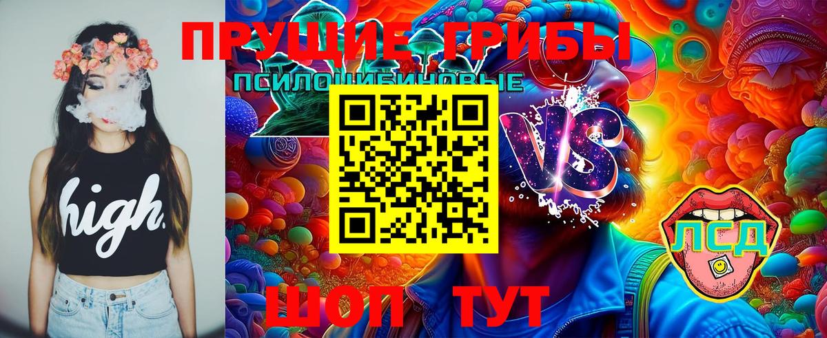 Галлюциногенные грибы Psilocybine cubensis Заречный