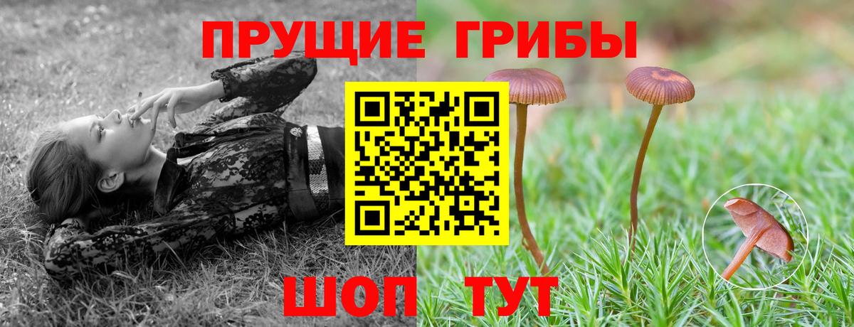 Заречный  Псилоцибиновые грибы Magic Shrooms  Псилоцибиновые грибы Magic Shrooms  Вход с VPN 